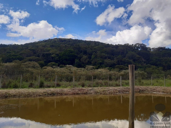 Imagem Imóvel com 2 Quartos à Venda, 8.000 m² em Cachoeira Da Mata - Entre Rios De Minas