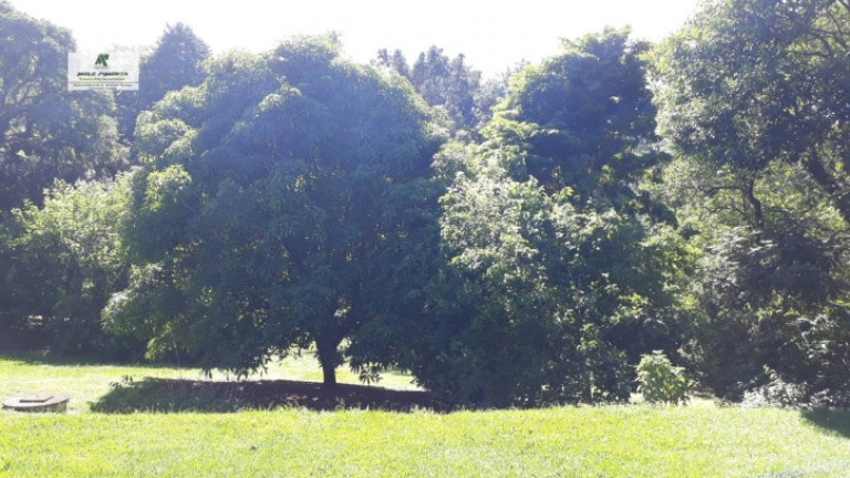 Imagem Chácara com 3 Quartos à Venda, 3.000 m² em Alto Da Serra - São Roque Imagem Chácara com 3 Quartos à Venda, 3.000 m² em Alto Da Serra - São Roque