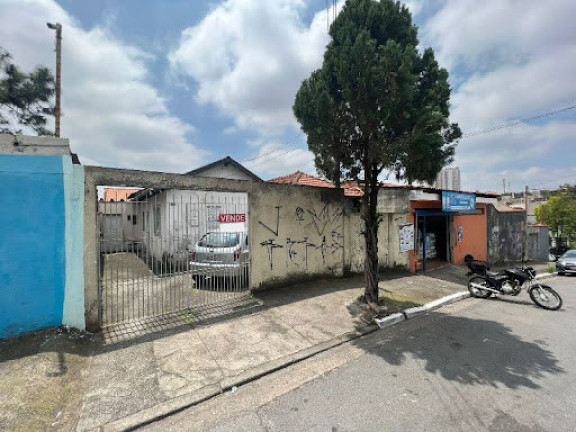 Imagem Terreno à Venda, 260 m² em Vila Guilhermina - São Paulo Imagem Terreno à Venda, 260 m² em Vila Guilhermina - São Paulo