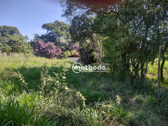 Imagem Terreno à Venda, 1.500 m² em Village Campinas - Campinas Imagem Terreno à Venda, 1.500 m² em Village Campinas - Campinas