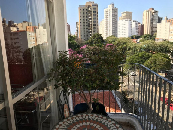 Imagem Imóvel com 3 Quartos à Venda, 156 m² em Cambuí - Campinas Imagem Imóvel com 3 Quartos à Venda, 156 m² em Cambuí - Campinas