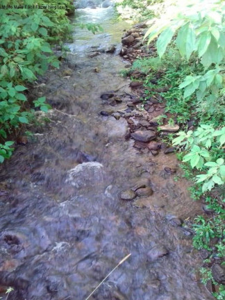 Imagem Terreno à Venda, em Linha Pirajá - Nova Petrópolis Imagem Terreno à Venda, em Linha Pirajá - Nova Petrópolis
