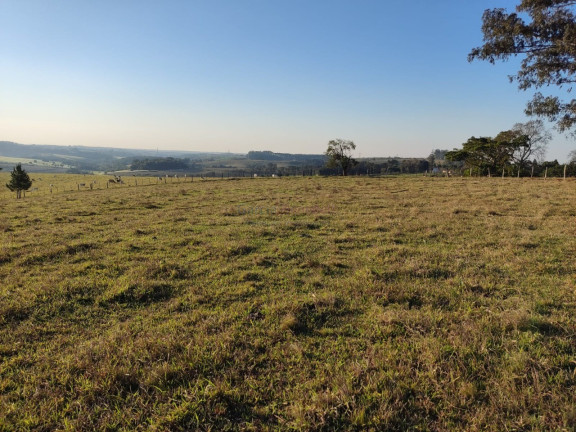 Imagem Imóvel com 2 Quartos à Venda, 338.800 m² em Centro - Itapetininga Imagem Imóvel com 2 Quartos à Venda, 338.800 m² em Centro - Itapetininga