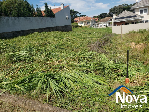 Imagem Imóvel à Venda, 438 m² em Pousada Da Neve - Nova Petrópolis