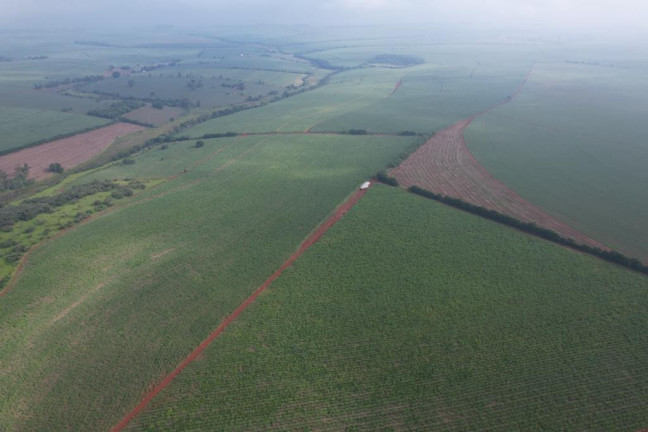 Imagem Fazenda à Venda, 53 m² em Zona Rural - Ipauçu Imagem Fazenda à Venda, 53 m² em Zona Rural - Ipauçu
