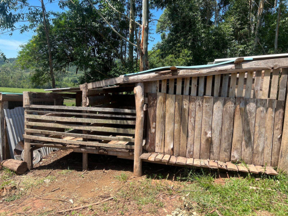 Imagem Chácara com 2 Quartos à Venda, 10 m² em Paquete - Capela De Santana