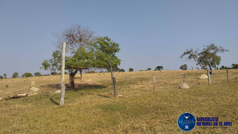 Imagem Chácara à Venda, 20 m² em Zona Rural - Morro Agudo De Goiás Imagem Chácara à Venda, 20 m² em Zona Rural - Morro Agudo De Goiás