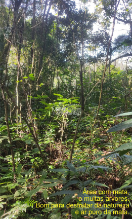 Imagem Imóvel à Venda, em Arataca - São João Batista Imagem Imóvel à Venda, em Arataca - São João Batista