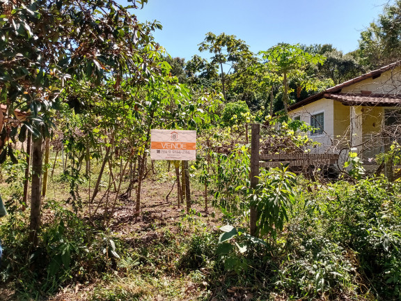 Imagem Imóvel com 2 Quartos à Venda, 2.100 m² em Bairro Roseira (rural) - Campestre