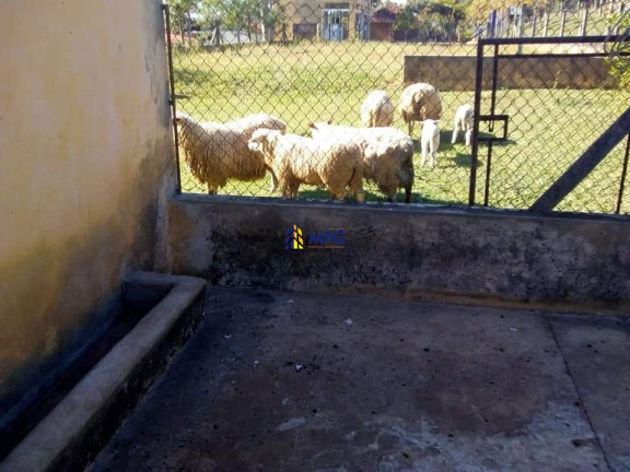 Imagem Casa com 2 Quartos à Venda, em área Rural De Tatuí - Tatuí Imagem Casa com 2 Quartos à Venda, em área Rural De Tatuí - Tatuí