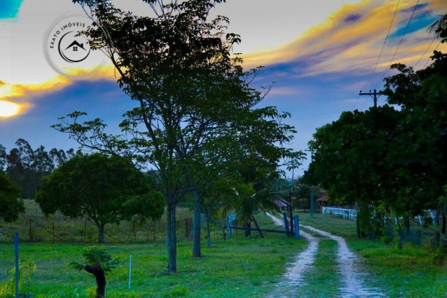 Imóvel com 6 Quartos à Venda, 467 m²