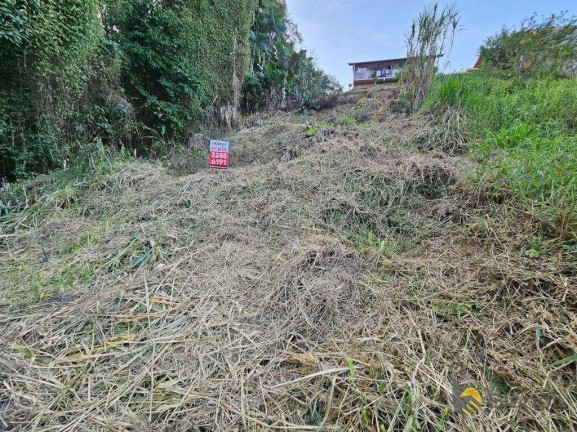 Imagem Terreno à Venda, 404 m² em água Verde - Blumenau Imagem Terreno à Venda, 404 m² em água Verde - Blumenau