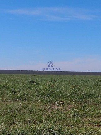 Imagem Fazenda à Venda, 17.799.000 m² em Zona Rural - Baianópolis Imagem Fazenda à Venda, 17.799.000 m² em Zona Rural - Baianópolis