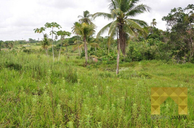 Imagem Chácara com 3 Quartos à Venda, 100 m² em Conde - Conde Imagem Chácara com 3 Quartos à Venda, 100 m² em Conde - Conde
