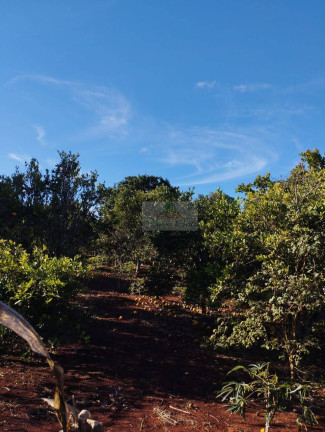 Imagem Chácara com 3 Quartos à Venda, 1.440 m² em Jardim Cananéia - Pilar Do Sul Imagem Chácara com 3 Quartos à Venda, 1.440 m² em Jardim Cananéia - Pilar Do Sul