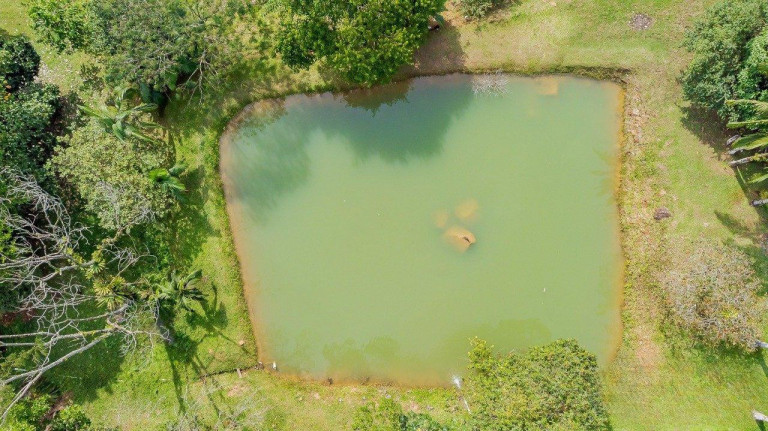 Imagem Imóvel com 5 Quartos à Venda, 11.577 m² em Rio Sagrado - Morretes