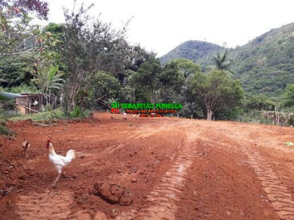 Imagem Chácara à Venda, 40.000 m² em São Francisco Xavier - São José Dos Campos Imagem Chácara à Venda, 40.000 m² em São Francisco Xavier - São José Dos Campos