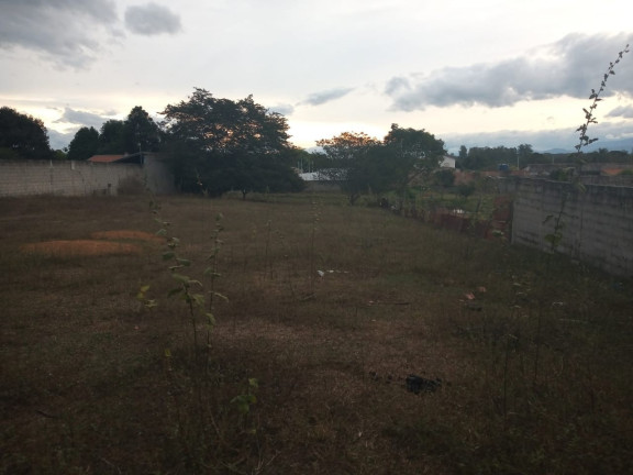 Imagem Terreno à Venda, 3.100 m² em Pedro Leme - Roseira Imagem Terreno à Venda, 3.100 m² em Pedro Leme - Roseira