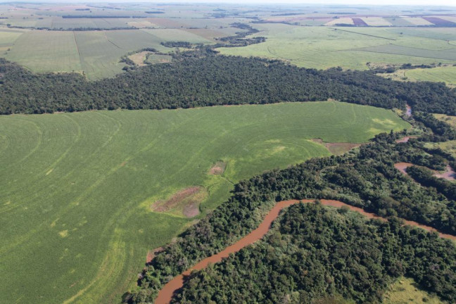 Imagem Fazenda à Venda, 540 m² em Zona Rural - Munhoz De Melo