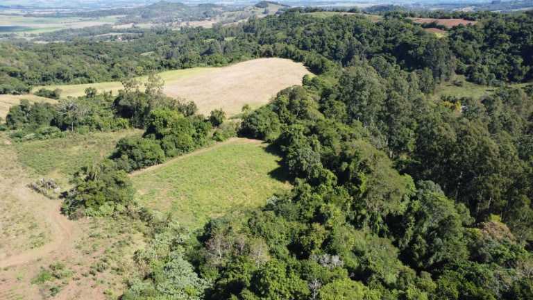 Imagem Chácara à Venda, 77.000 m² em Zona Rural - Passo Do Sobrado Imagem Chácara à Venda, 77.000 m² em Zona Rural - Passo Do Sobrado