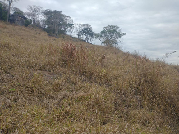 Imagem Chácara à Venda, 20.000 m² em Rio Pardo - Caldas Imagem Chácara à Venda, 20.000 m² em Rio Pardo - Caldas