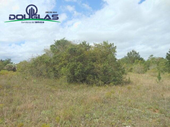 Imagem Imóvel Comercial à Venda, 3.640 m² em Morro Grande - Viamão Imagem Imóvel Comercial à Venda, 3.640 m² em Morro Grande - Viamão