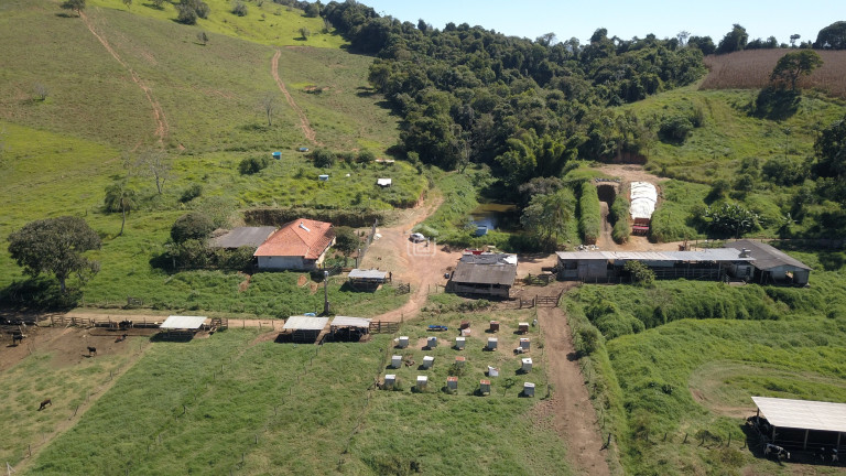 Imagem Imóvel com 3 Quartos à Venda, 11 m² em Barreiro 2 (rural) - Caldas