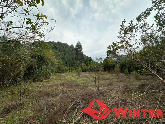 Imagem Chácara à Venda, 40.000 m² em Forqueta - Vale Real Imagem Chácara à Venda, 40.000 m² em Forqueta - Vale Real
