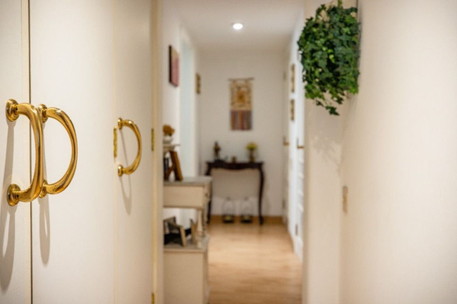 Imagem Apartamento com 4 Quartos à Venda, 264 m² em Jardim América - São Paulo Imagem Apartamento com 4 Quartos à Venda, 264 m² em Jardim América - São Paulo