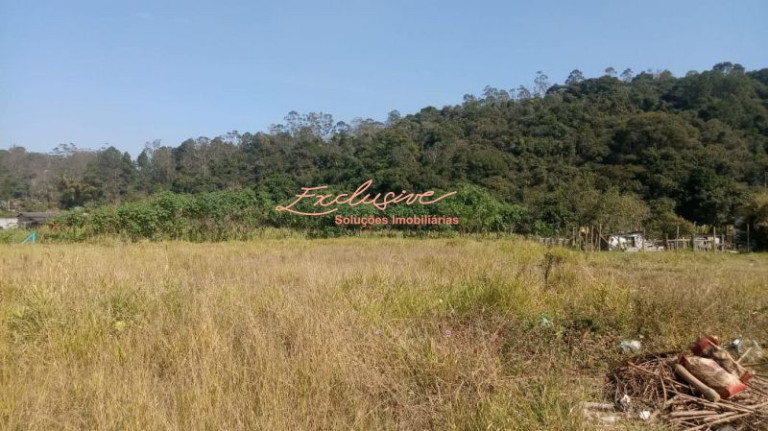 Imagem Chácara à Venda, 4.000 m² em Ipelândia - Suzano Imagem Chácara à Venda, 4.000 m² em Ipelândia - Suzano
