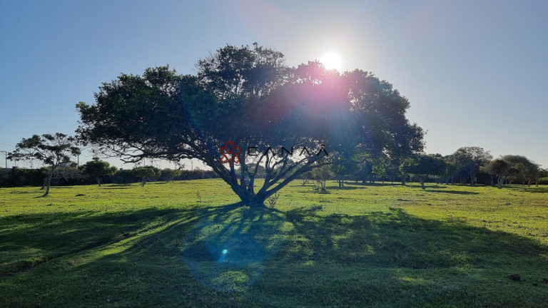 Imagem Imóvel com 2 Quartos à Venda, 130.000 m² em Dunas Do Peró - Armação Dos Búzios