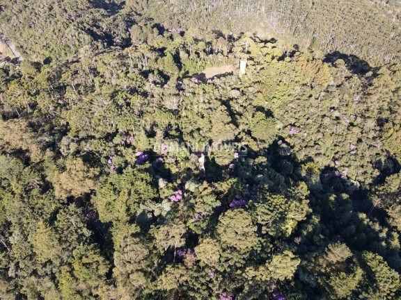 Imagem Imóvel à Venda, 1.380 m² em Região Do Toriba - Campos Do Jordão Imagem Imóvel à Venda, 1.380 m² em Região Do Toriba - Campos Do Jordão