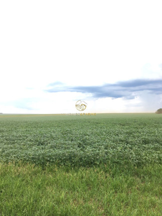 Imagem Imóvel com 3 Quartos à Venda, 150 m² em Zona Rural - Nova Mutum Imagem Imóvel com 3 Quartos à Venda, 150 m² em Zona Rural - Nova Mutum