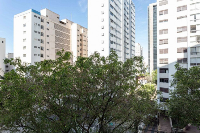 Imagem Imóvel com 3 Quartos à Venda, 206 m² em Higienópolis - São Paulo Imagem Imóvel com 3 Quartos à Venda, 206 m² em Higienópolis - São Paulo