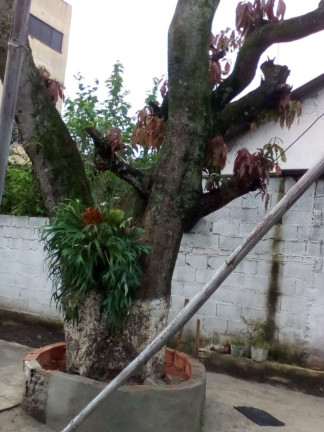 Imagem Casa com 1 Quarto à Venda, 500 m² em Centro - Poá Imagem Casa com 1 Quarto à Venda, 500 m² em Centro - Poá