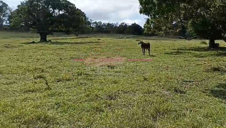 Imagem Chácara com 2 Quartos à Venda, 150 m² em área Rural De Tatuí - Tatuí