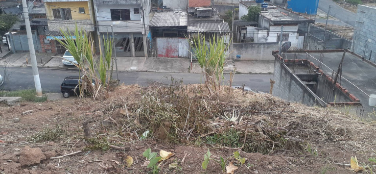Imagem Terreno à Venda, 300 m² em Cidade São Pedro - Gleba B - Santana De Parnaíba Imagem Terreno à Venda, 300 m² em Cidade São Pedro - Gleba B - Santana De Parnaíba