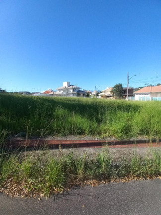 Imagem Terreno à Venda, 597 m² em Pedra Branca - Palhoça Imagem Terreno à Venda, 597 m² em Pedra Branca - Palhoça