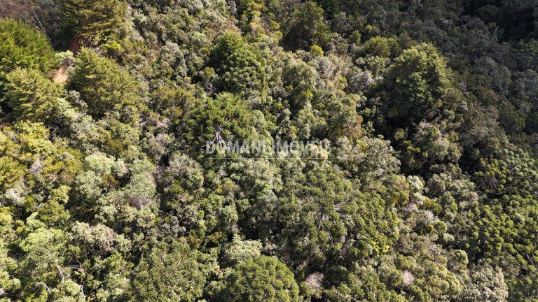 Imagem Terreno à Venda, 2.570 m² em Região De Capivari - Campos Do Jordão Imagem Terreno à Venda, 2.570 m² em Região De Capivari - Campos Do Jordão