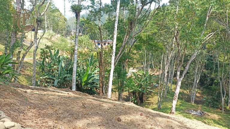 Imagem Chácara com 4 Quartos à Venda, 800 m² em Cedro - Paraibuna Imagem Chácara com 4 Quartos à Venda, 800 m² em Cedro - Paraibuna