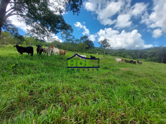 Imagem Fazenda à Venda, 68 m² em Hidrolândia Imagem Fazenda à Venda, 68 m² em Hidrolândia