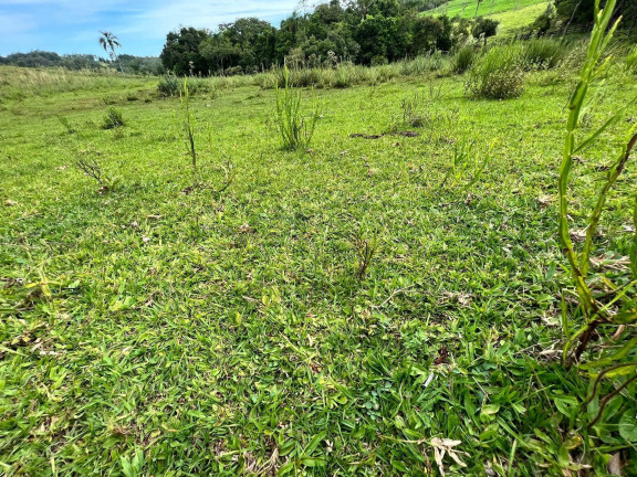 Imagem Chácara à Venda, 3 m² em Morungava - Gravataí Imagem Chácara à Venda, 3 m² em Morungava - Gravataí