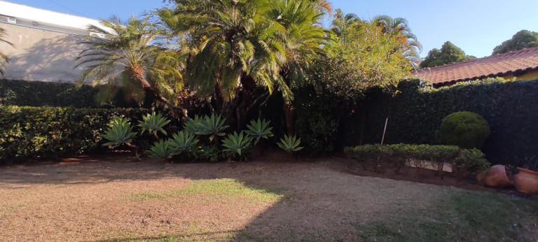 Imagem Casa com 3 Quartos à Venda, 277 m² em Centro - Birigui