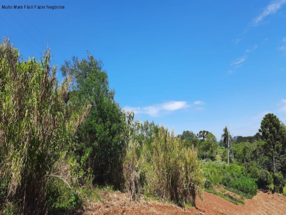 Imagem Terreno à Venda, 13 m² em Linha Olinda - Nova Petrópolis Imagem Terreno à Venda, 13 m² em Linha Olinda - Nova Petrópolis