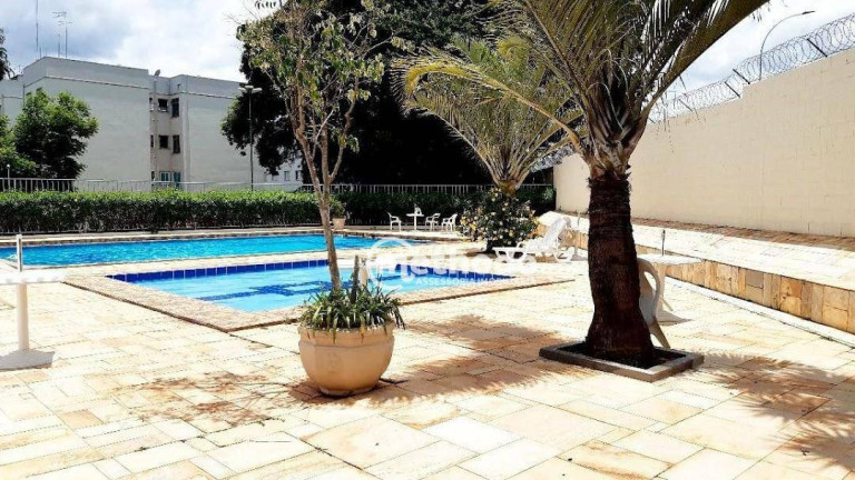 Imagem Apartamento com 2 Quartos à Venda, 60 m² em Jardim Miranda - Campinas Imagem Apartamento com 2 Quartos à Venda, 60 m² em Jardim Miranda - Campinas