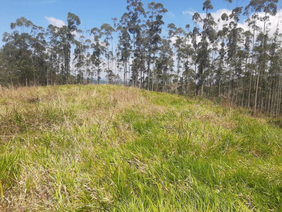 Imagem Fazenda à Venda, 200 m² em Centro - Paraibuna Imagem Fazenda à Venda, 200 m² em Centro - Paraibuna