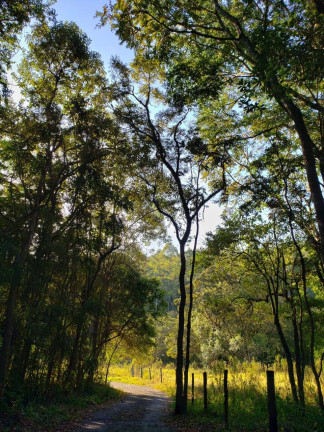 Imagem Fazenda à Venda, 30.000 m² em Centro - Jarinu Imagem Fazenda à Venda, 30.000 m² em Centro - Jarinu