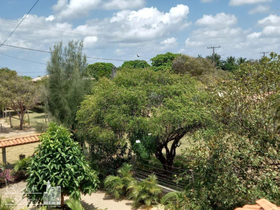 Imagem Fazenda à Venda, 1.600 m² em Imirizal - Salvaterra