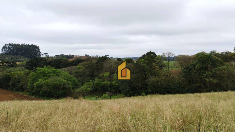 Imagem Chácara à Venda, 1 m² em Boqueirão - Araucária Imagem Chácara à Venda, 1 m² em Boqueirão - Araucária