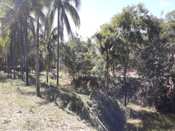 Imóvel com 3 Quartos à Venda,  em Quente Frio - Barreiras